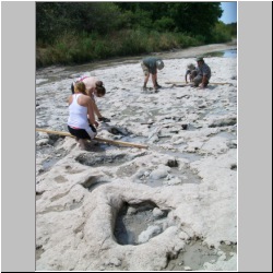 100_0516 (2009-26-07).JPG